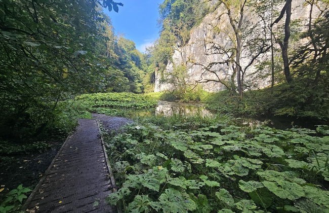 Rose Cottage - Cosy Cottage in Millers Dale - Foto 15