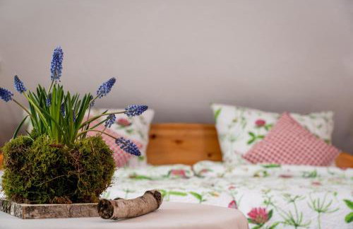 Ferienwohnungen "Zum Lochfeld" - Foto 24