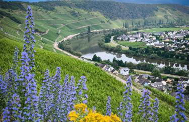 Garden Eden - Foto 30