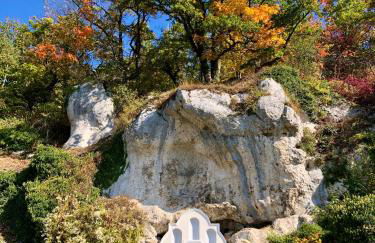 Chalet an der Donau direkt bei Regensburg, 5 Sterne DTV - Foto 24