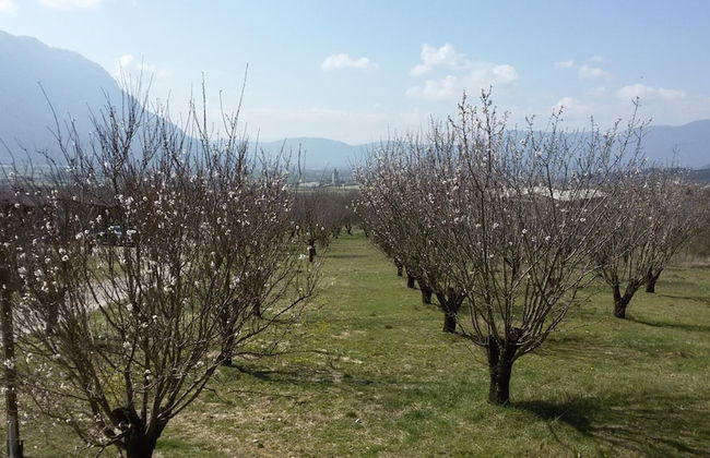 Villa Rustica - Foto 34