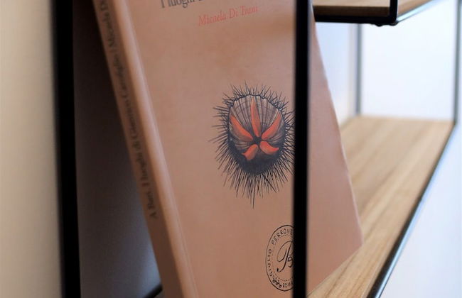 MozÁrt B&B - Affittacamere - Foto 26