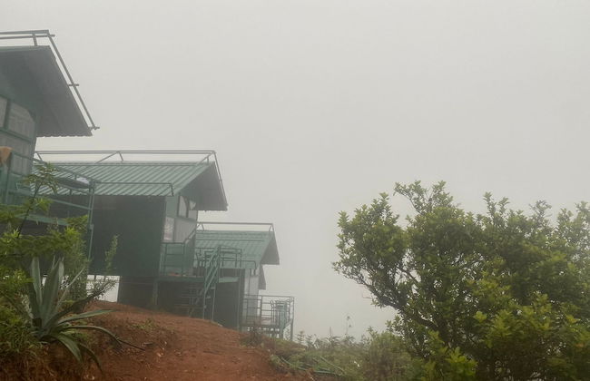 Coorg Tree House - Foto 24