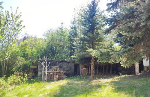 Haus "Grimberg" FeWo 1-Stock - Photo 40