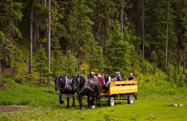 320 Guest Ranch - Photo 48