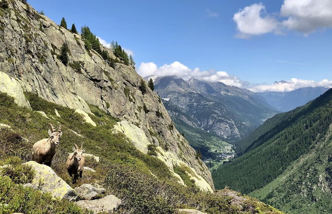 Calme nature ski à Vallorcine Mont Blanc - Foto 36