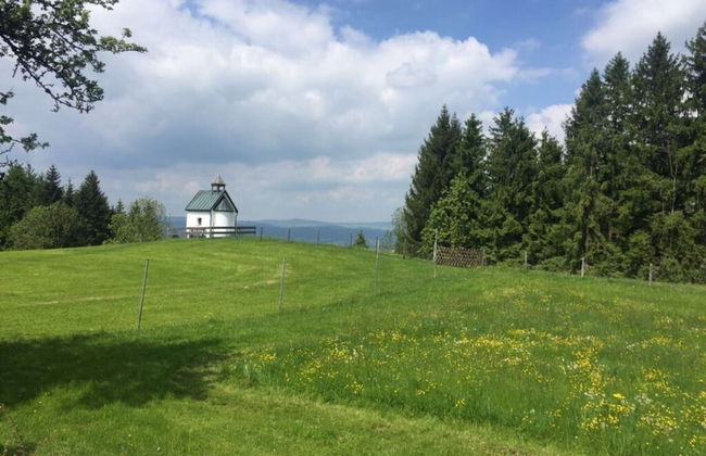 Apartment in the Waxenegg Country House - Photo 38