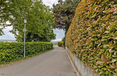 Rotes Haus über den Weinbergen - Photo 24