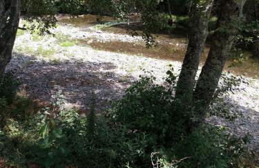 Casa D.Dinis - Foto 25