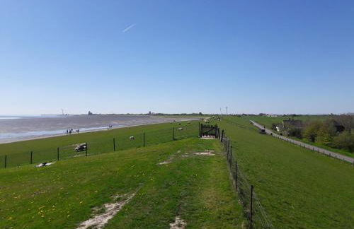 Büsumer blaue Krabbe - Foto 38