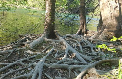 Old town hesed - Photo 42