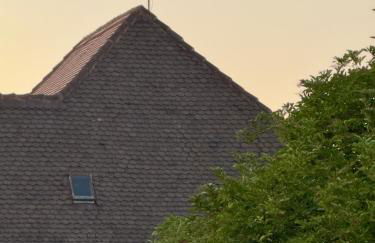 Harmony vintage - Quartier calme - Centre-ville Haguenau - Gare 3 min - Photo 57