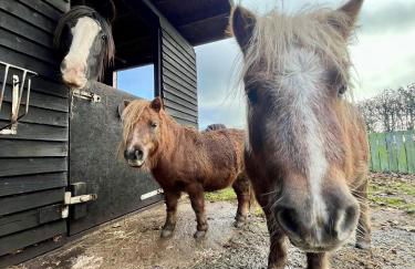 Sunnybank by Wigwam Holidays - Photo 11