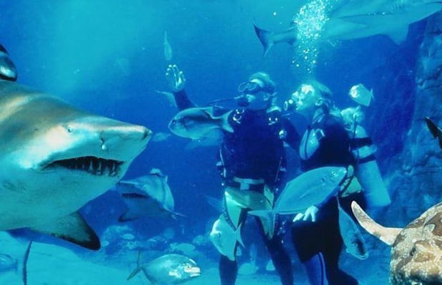 Sea Pearl Resort Mooloolaba - Foto 79