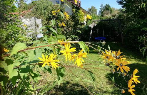 FeWo Happy Place in traumhafter Lage See nah - Foto 23