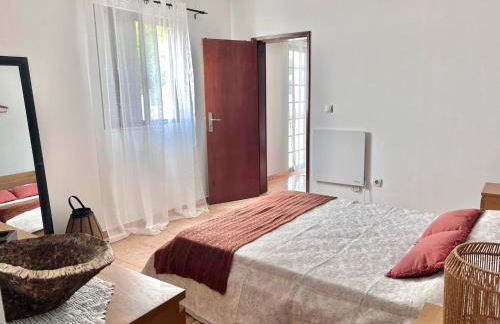 Andorinha Levante - Foto 19