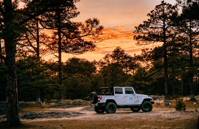 Balade en 4x4 autour de Creel - Photo 2