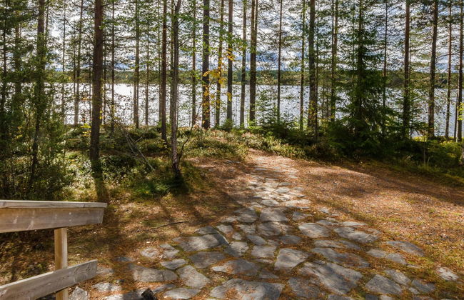 Metsätähti - Foto 6