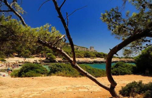 Cottage a 5 minuti dal mare - Foto 35