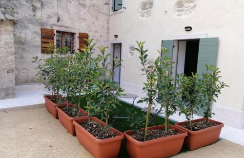 Agriturismo Le Anze - Foto 40