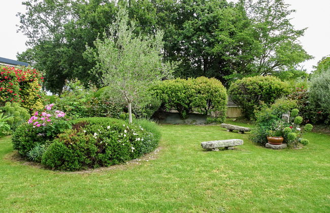 Ty Patrick - Foto 39