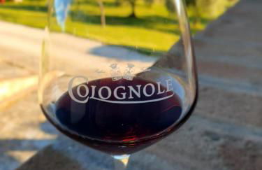 Agriturismo Colognole - Foto 65