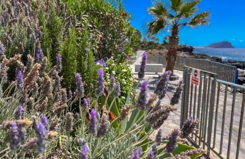 Paz Ocean View Luxury, Air condition, Wifi, Heated pool - Foto 51