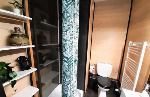 Songe Tropical-InvIRI. Studio CHU. Parking Aisé. - Foto 13