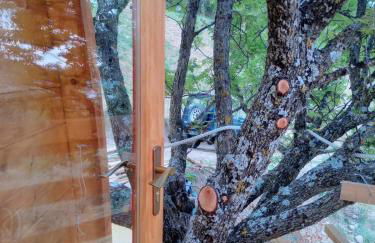 Casa nei 3 alberi, Molise - Foto 46