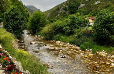 La casita de Olivia Espinaredo - Foto 65