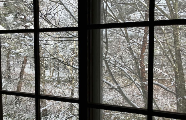 Cottage Alice - Foto 12