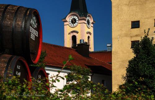 Bauernhofurlaub Eggcellence - Foto 3
