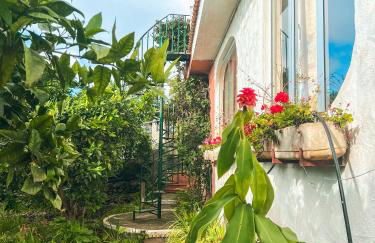 Canarian Cottage with terrace surrounded by garden - Alisios - Foto 20