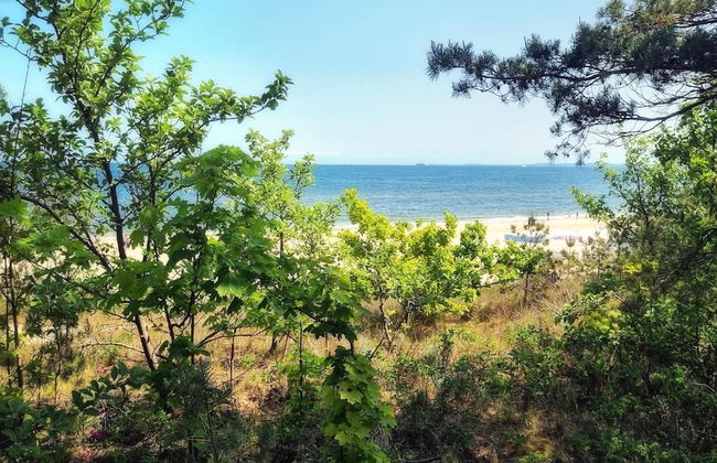 Apartment in Mrzezyno by Blue Flag Beach - Photo 26