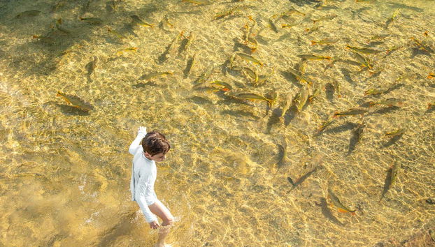 Checking out the fish