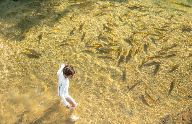 Balneário do Sol Tickets - Foto 4