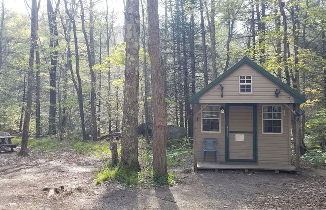 Abrams Creek Center - Foto 14