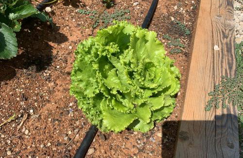 Villa Cecilia - 4 bedrooms, 4 bathrooms, heated inside pool, gym - Photo 39