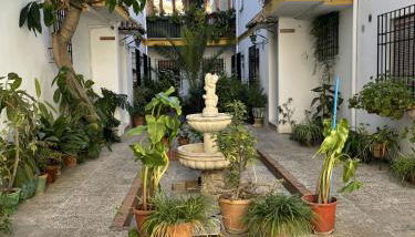 CENTRO - Patio Andaluz San Pablo - PARKING GRATIS- WIFI - Foto 3