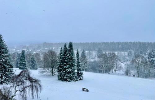 Ferienwohnung Harzurlaub - Photo 66