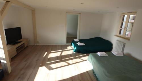 homday cultivateur 3 - Photo 2