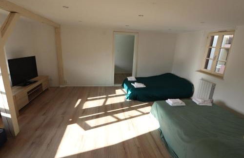 homday cultivateur 3 - Photo 2