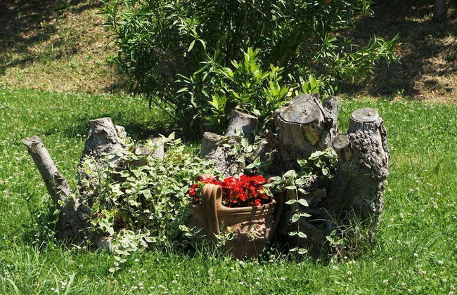 Agriturismo Case Mori - Foto 41