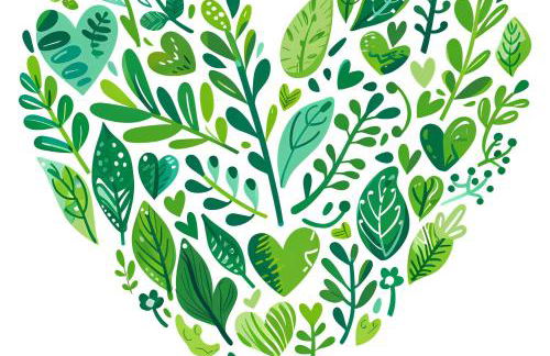 EcoCasa Neapolis - Foto 18