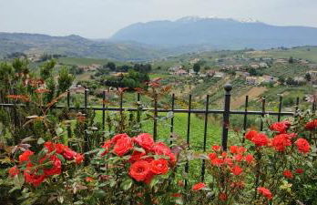 La Presentosa - Foto 1