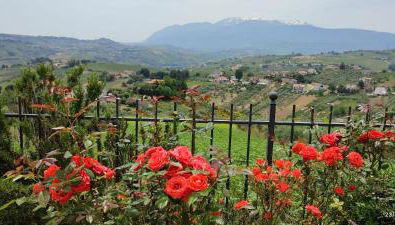 La Presentosa - Foto 1