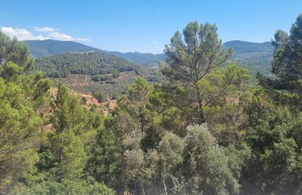 Cortijo Castillo de peñafleita - Foto 28