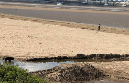 Instow Sandhills 2 bedrooms - Foto 43