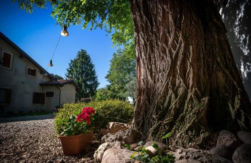 Fior di Pesco - Foto 18