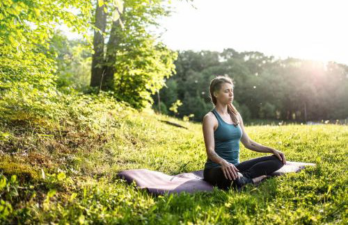 Premium Apartments Terme Sveti Martin - Foto 37